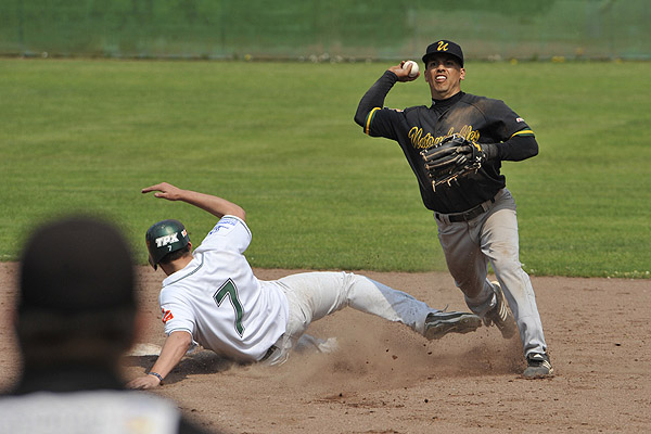 Solingen vs. Paderborn, Baseball, Bundesliga, Germany Solingen vs. Paderborn, Baseball, Bundesliga, Germany